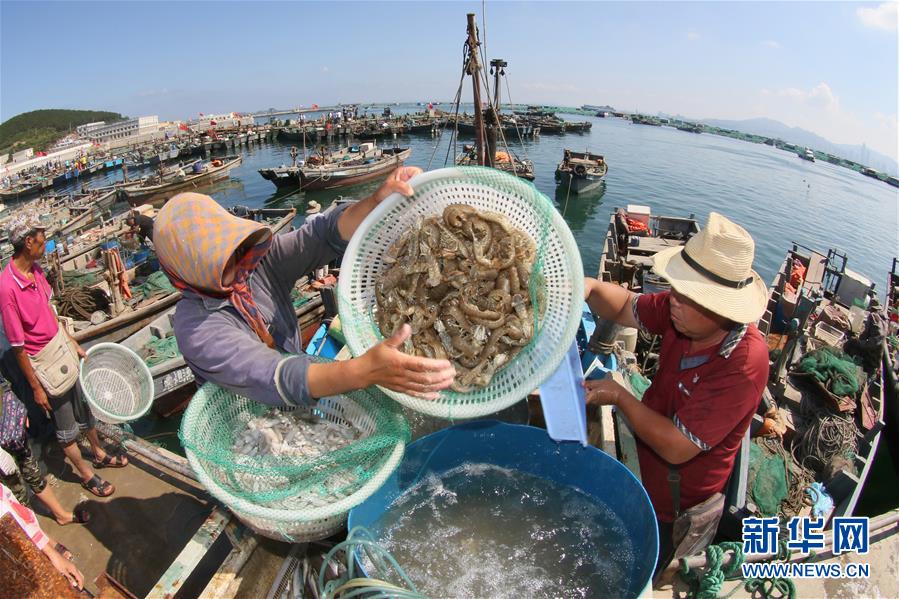 2055金沙线路检测中心