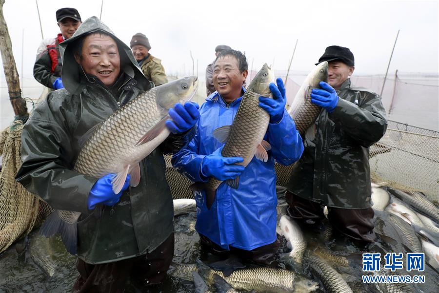 半岛5.0下载官网相关推荐4