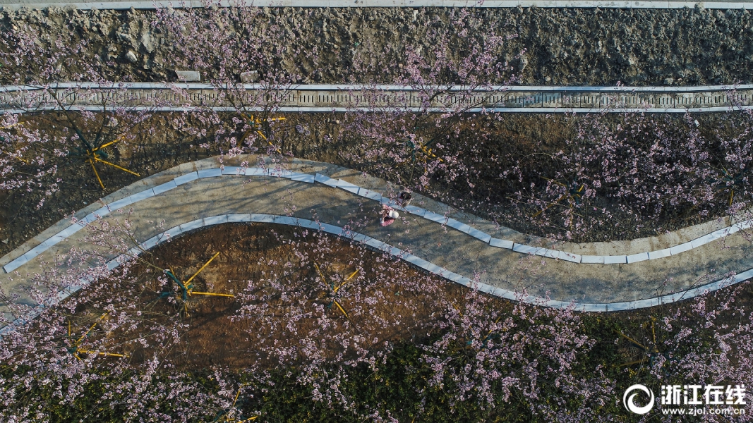 星空app网站-如何将旧金山愿景转为实景