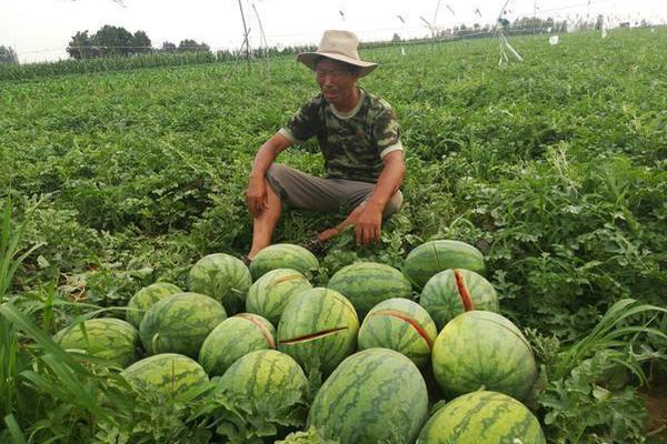 kok电竞首页-雷军回应车主拆车评测