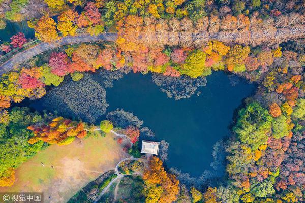 博业体育下载app-成都减灾所再回应苹果“地震预警”App收费：将更好改进预警科技与服务