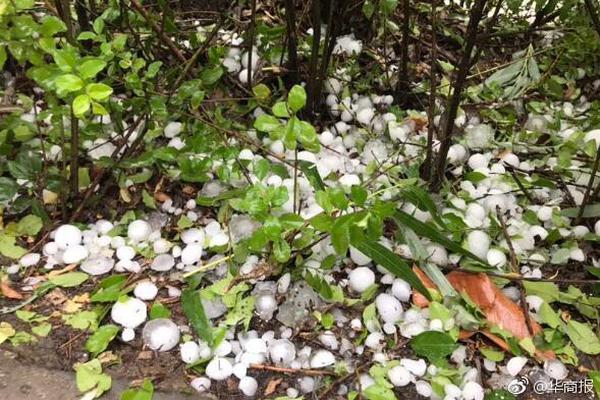 开云app苹果下载-将随朔尔茨访华的企业高管名单：凸显中国对德国外贸的重要性