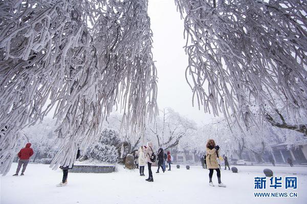 澳门百老汇手机官网-138.3万人次！柳州这3天火出圈