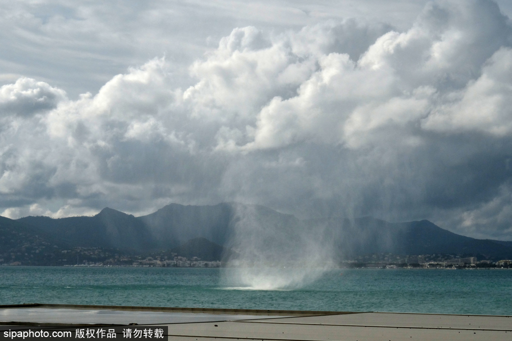 江南官方入口-雨果奖