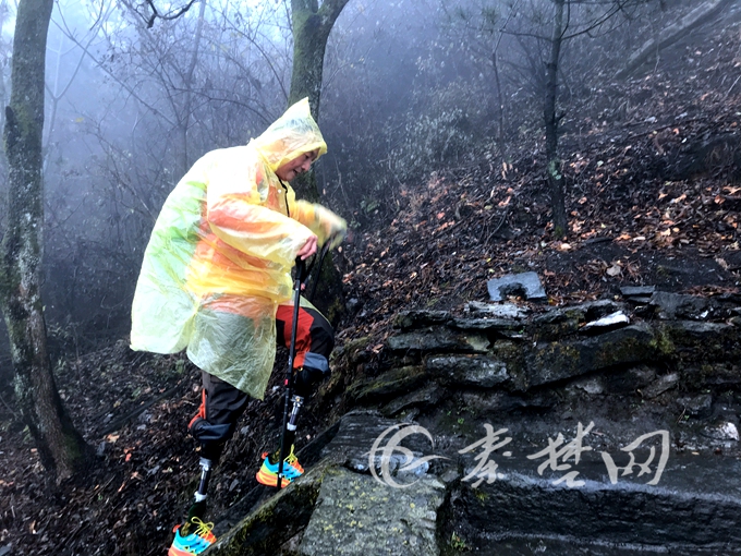 半岛在线体育网-半岛在线体育网