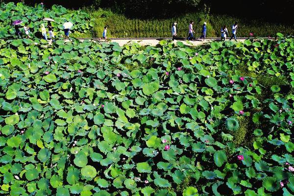 乐鱼官方在线登录