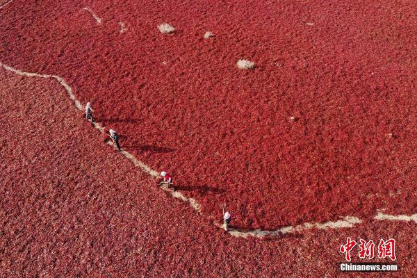 米兰体育app安装-你认为谷雨奶罐怎么样？