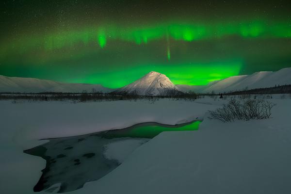 星空app网站-牛奶、羊奶都能喝，为什么没人喝猪奶？