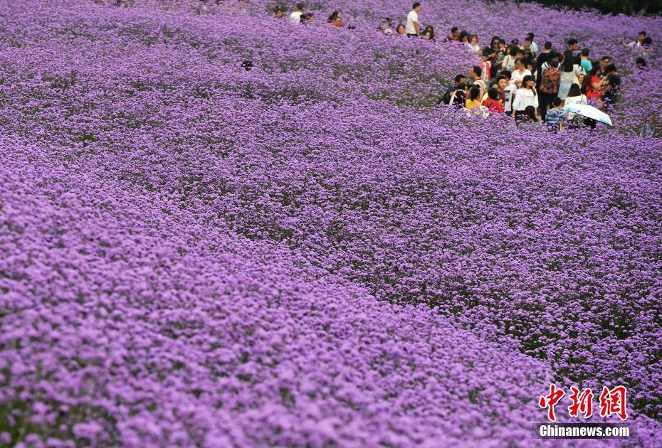 半岛最新官网登录-美国财长耶伦：中美两国经济联系密切	，脱钩会带来灾难性后果