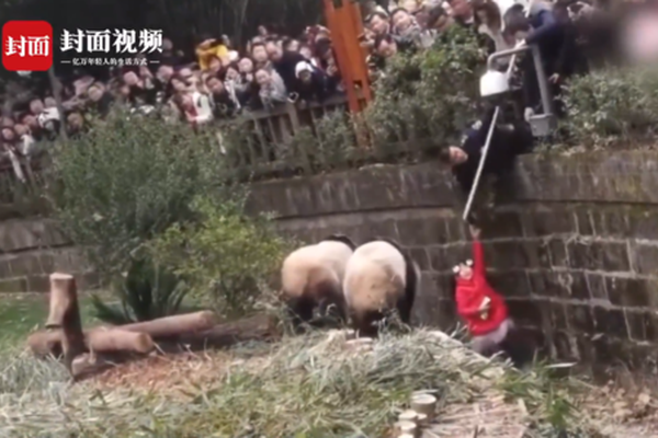 牛牛平台注册-“节奏大师”