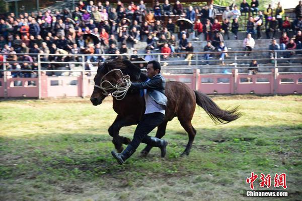 半岛在线登录入口相关推荐8