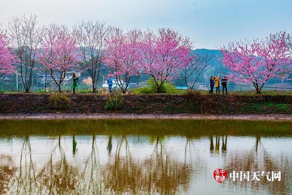 九州体育在线登入平台-九州体育在线登入平台