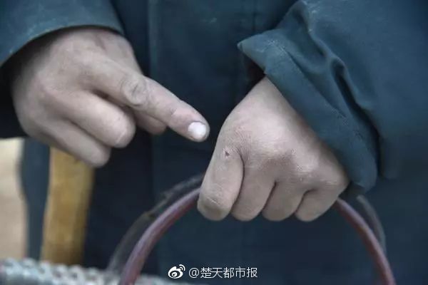 开云体肓app-女子因蒜苗被轧怒砸奔驰车
，河南警方
：双方就财产损失达成谅解