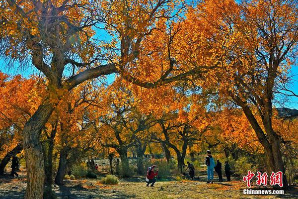 问鼎最新登录地址-问鼎最新登录地址